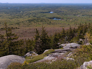 View from top end of Lost Farm