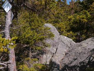 Cliff Walk blazes, old and new