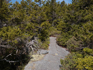 Boulder almost like a sidewalk