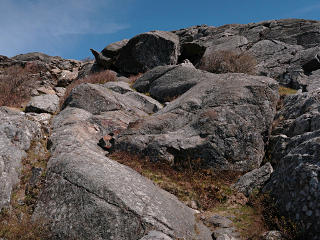 The push up White Arrow