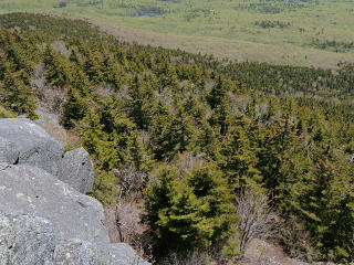 It's down there someplace...