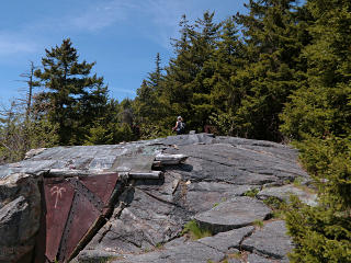 Found it! And other visitors