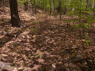 Connector from Harling to the campground