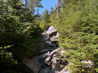 Postcard-like color looking upward