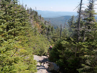 View eastward from the first open area
