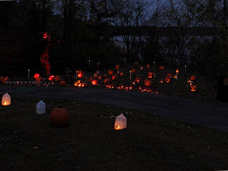 Pumpkin patch at dusk