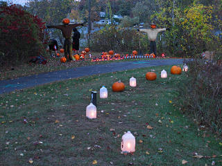 Path to pumpkin patch