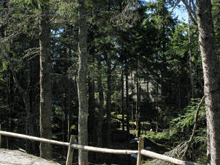 woodsy hideaway, Seal Harbor