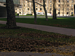 Toaster as backdrop to a late-fall scene