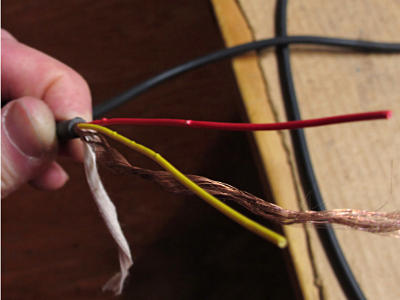 These little bumps are bad