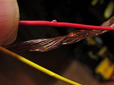 Strands humped their way through the insulation