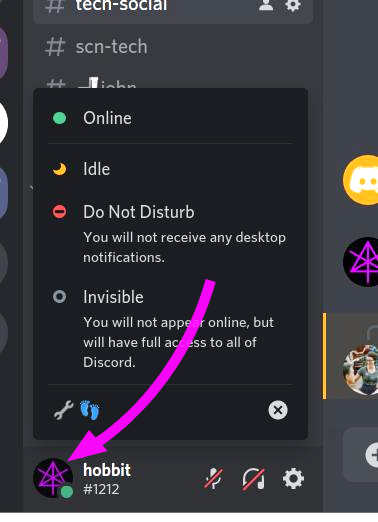 Set your Discord status