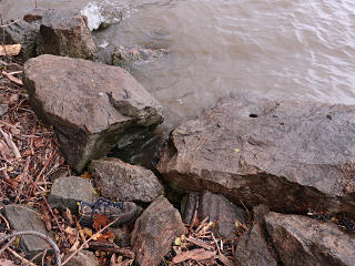 At the bank of the Hudson