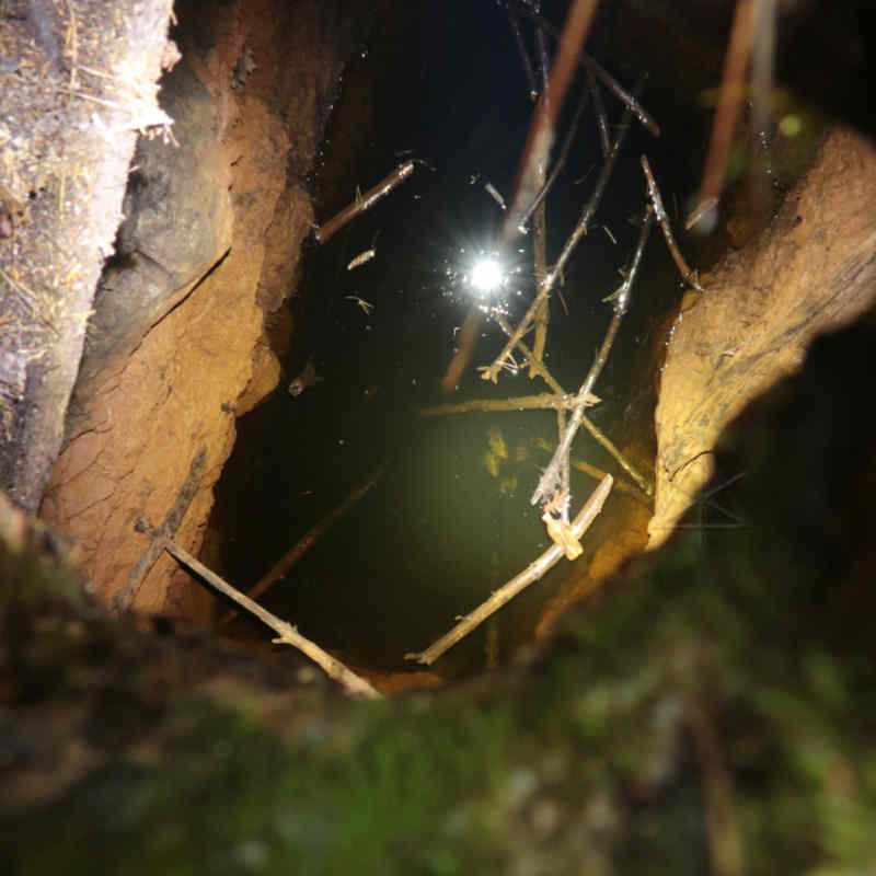 View into the mine shaft 2