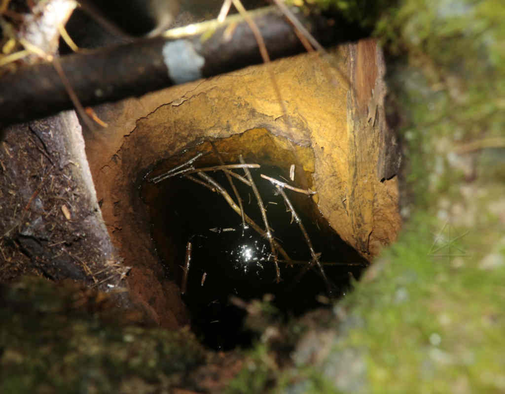 View into the mine shaft 1