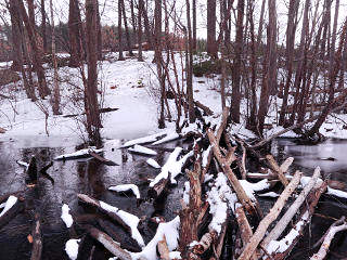 Sketchy crossing made of sticks