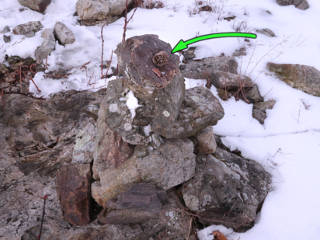 Hornet nest under the rock