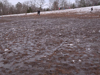 Sheepfold was a total mud-field