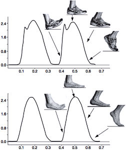 foot strike dynamics screengrab