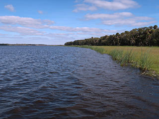 Edge of Myakka Lake