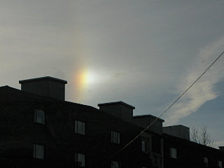 Rainbow over 561 Windsor