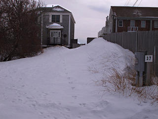 Commodore House driveway