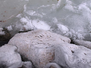 Ice formation on jetty