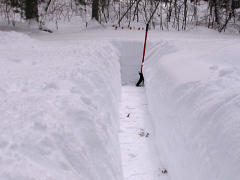 Observation trench into backyard