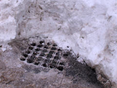 Excavating the catch basin