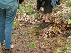 Squishy wet parts of the trail