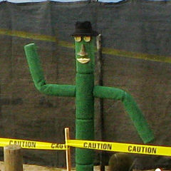 Mr. Saguaro Head