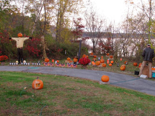 Building the pumpkin patch