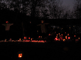 Pumpkin patch at night