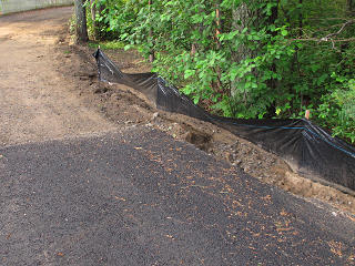Bank erosion near wetland