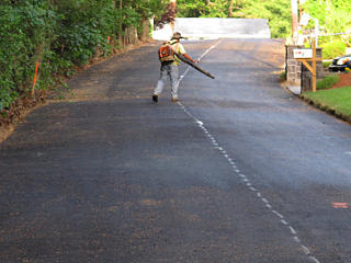Leaf-blowing stuff off the street