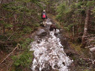 Remains of some snow